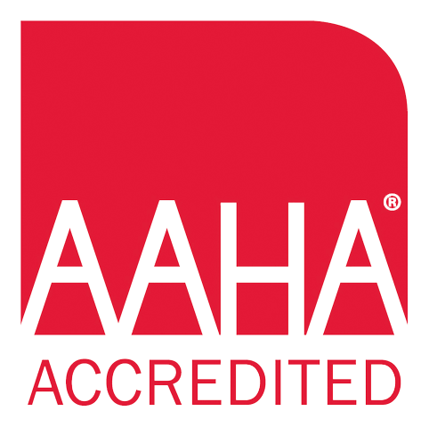 The Benefits of Using an AAHA-Accredited Veterinary Hospital