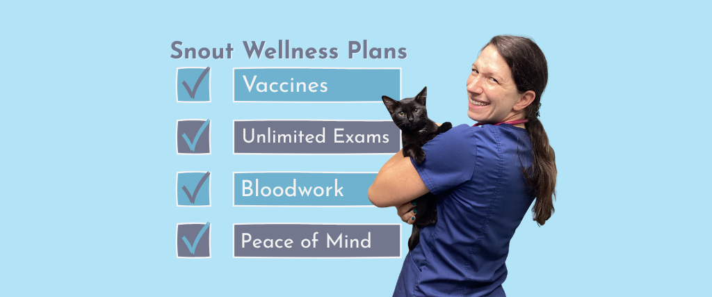 Text outlining offerings for Evendale-Blue Ash's Snout Pet Wellness Plans