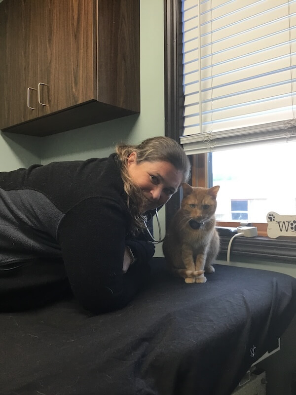 Cat Lab Work EBA
