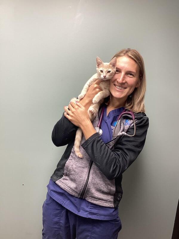 Kitten Care EBA