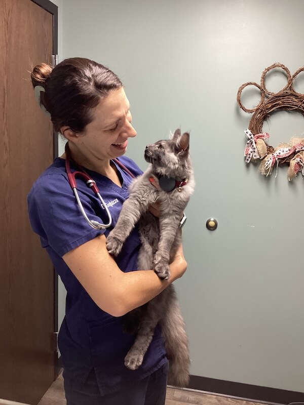 Cat Lab Work EBA
