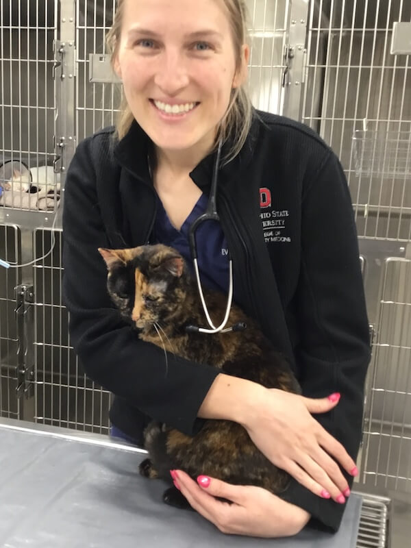 Cat Lab Work EBA