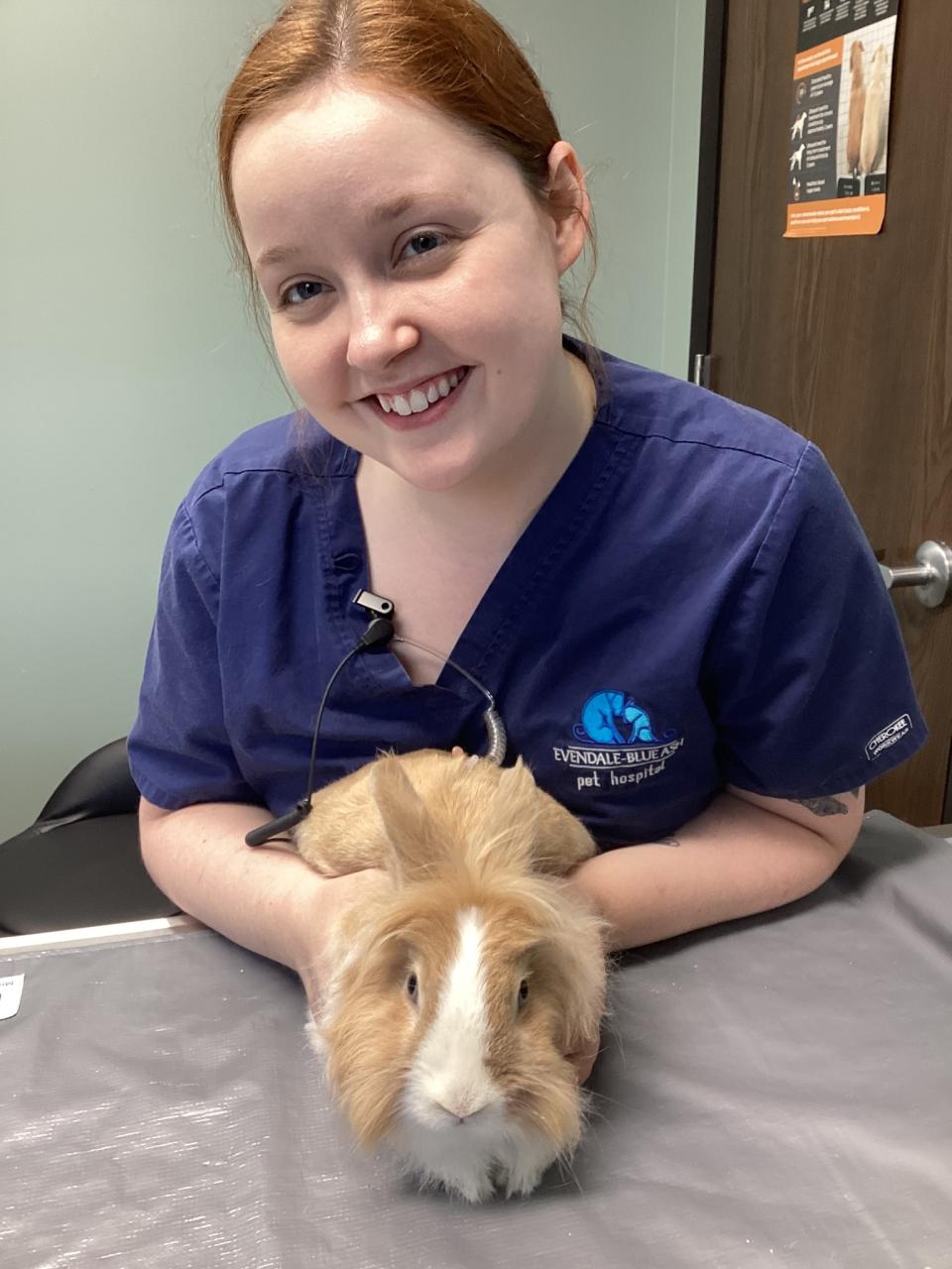 Rabbit Services Evendale-Blue Ash