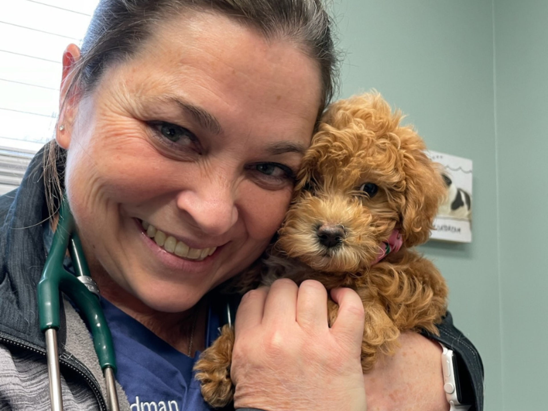 Cute Puppy | Evendale-Blue Ash Pet Hospital 